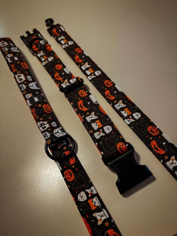 Vodítko a obojek pro psy - Spooky dogs