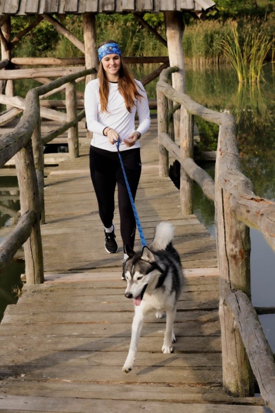 Vodítko a obojek pro psy - Van Choch